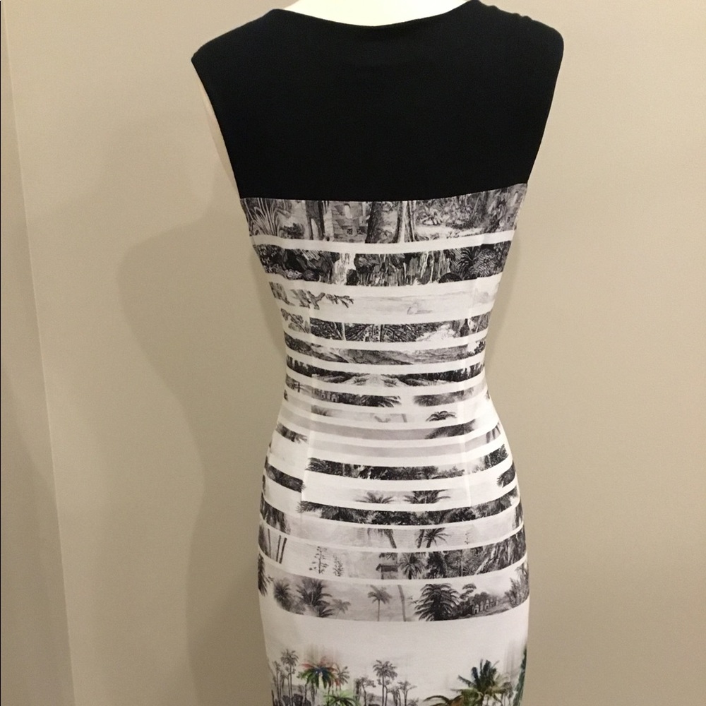 Michael Tyler Collection - Picture 10 of 16